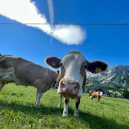 Pension Moslehnerhof Ramsau am Dachstein Kültér fotó