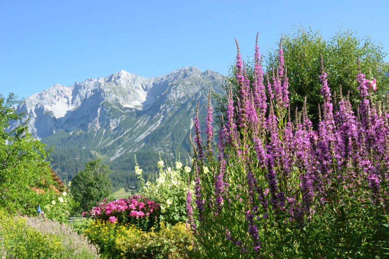 Pension Moslehnerhof Ramsau am Dachstein Kültér fotó