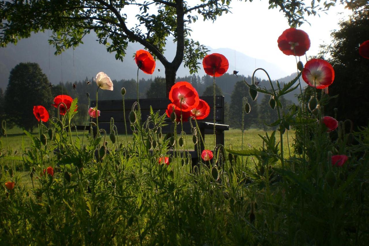 Pension Moslehnerhof Ramsau am Dachstein Kültér fotó