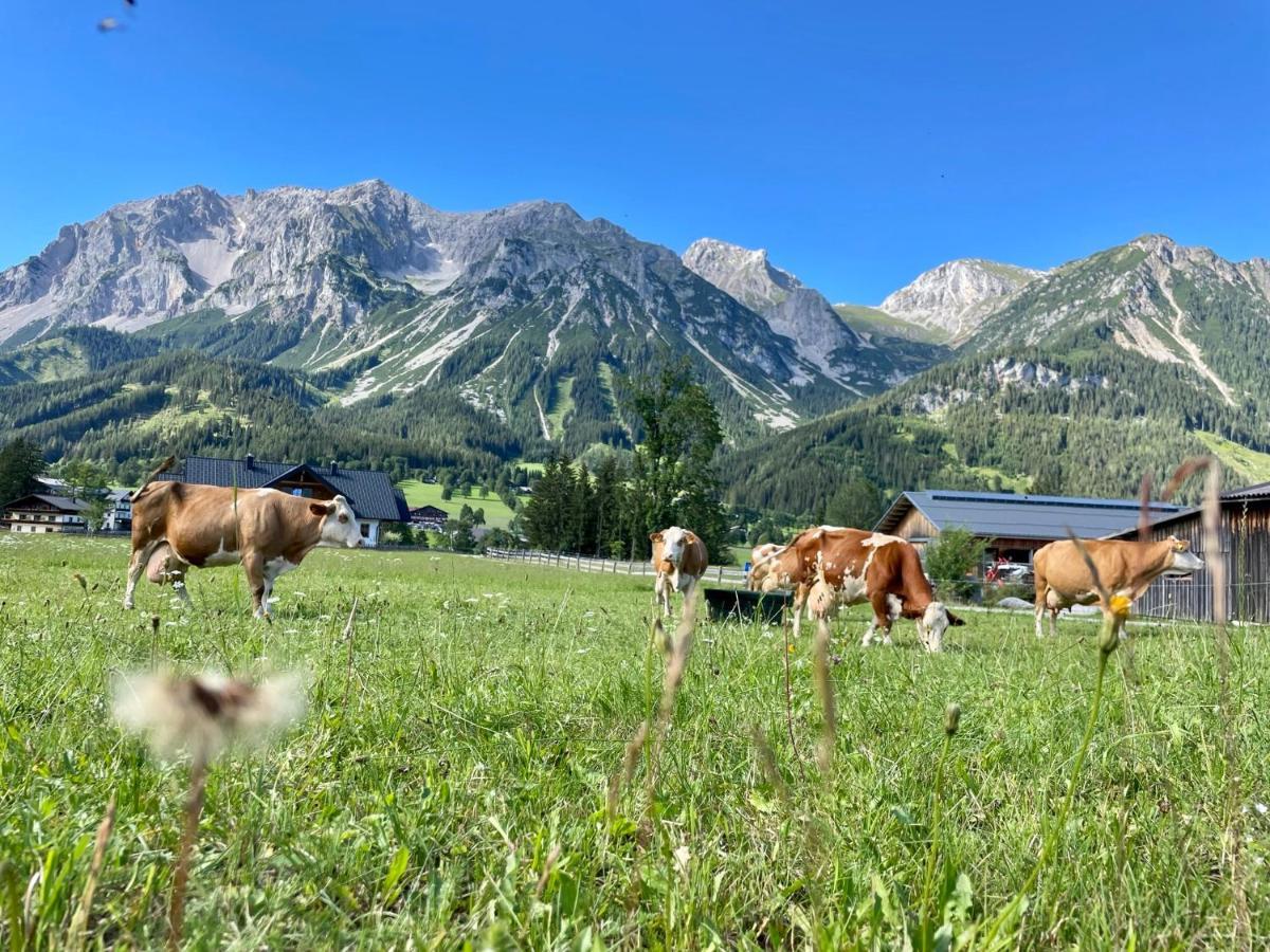 Pension Moslehnerhof Ramsau am Dachstein Kültér fotó